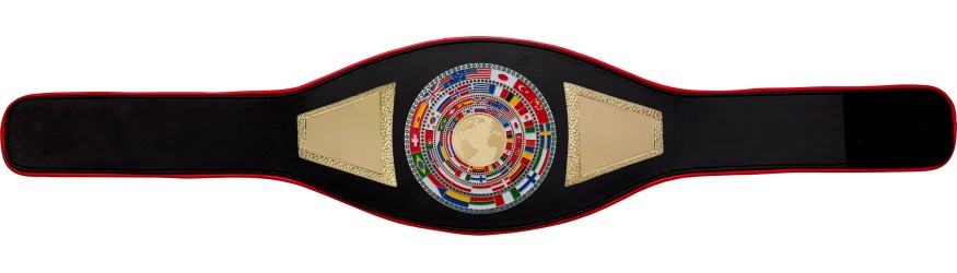 WORLD CHAMPION PROFLAG2/FLAG/G/BIGWG - VARIETY OF LEATHER COLOURS AVAILABLE WORLD CHAMPION PROFLAG2/FLAG/G/BIGWG - VARIETY OF LEATHER COLOURS AVAILABLE